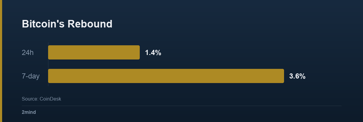 Bitcoin's Rebound