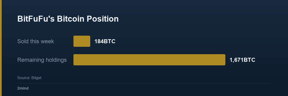 BitFuFu's Bitcoin Position